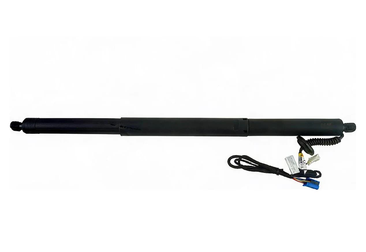 Liftgate Struts